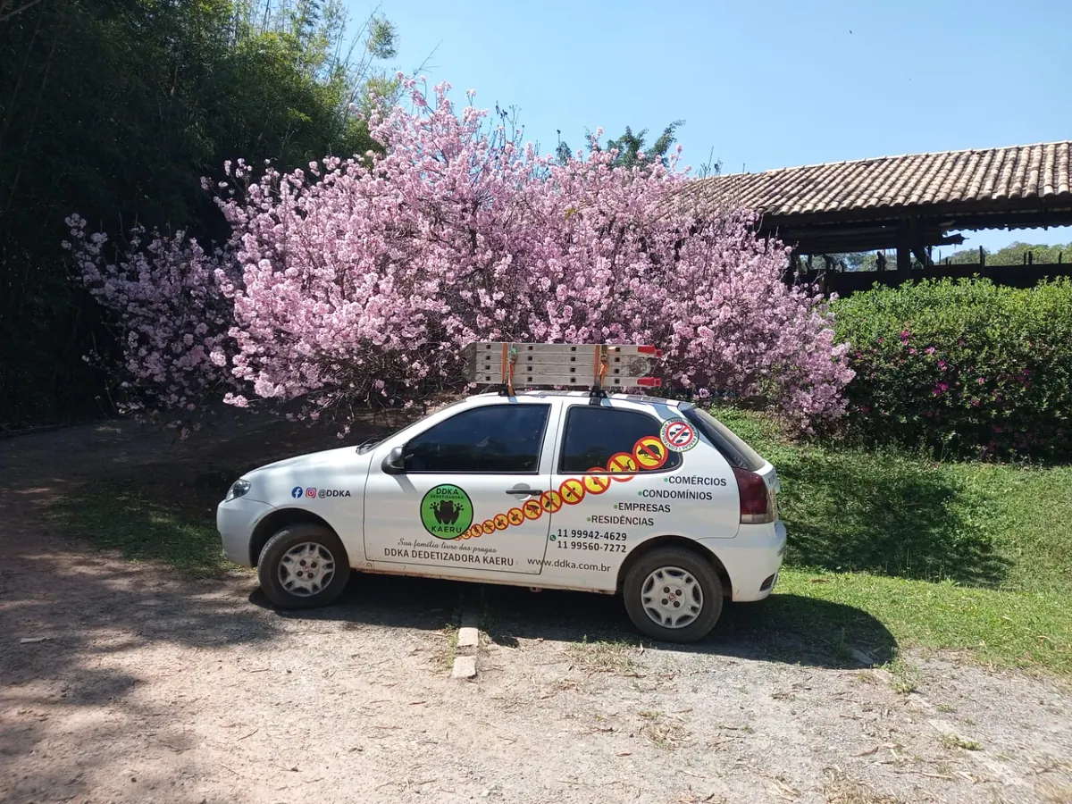 Carro da DDKA identificado com a marca Kaeru